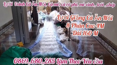 A Chiến Lưới Đánh Cá 8 Phân Cao 4 M Dài 160 M lưới giăng cá phi cá mè vinh cá chép cá trôi trắm mè