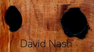 David Nash