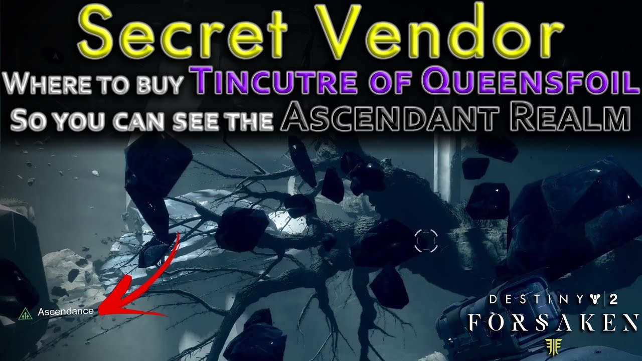 Where to buy Tincture of Queensfoil - Baryon Bough Vendor - Dreaming City Ascendant Realm