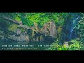 MadhabKunda Eco Park  |  মাধবকুণ্ড ইকোপার্ক  |  শ্রীমঙ্গল  |  সিলেট 🚩