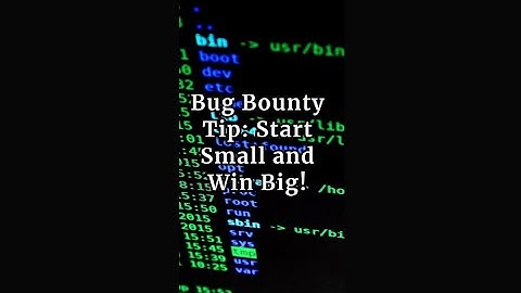 Bug Bounty Tip: Start Small and Win Big!