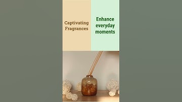 Transform Your Home with You Me & Emilio Oil Diffusers | Serenity & Style