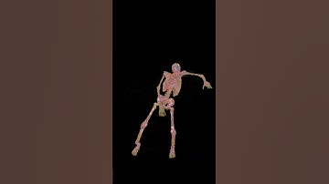 Watch These Skeletons Bust a Move!
