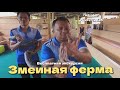 Экскурсия на Змеиную ферму!|Тайланд, Пхукет 2023,июль.|ОБЗОР|#пхукет #тайланд #путешествия