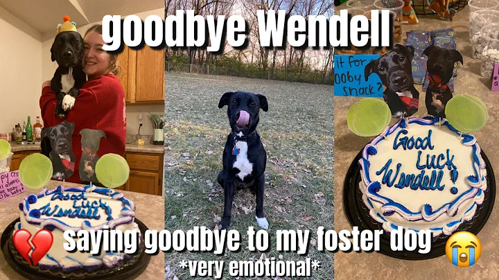 SAYING GOODBYE TO WENDELL: my last week with my fo...