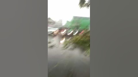 Beberapa Pohon Tumbang Arus Lalu lintas jadi macet
