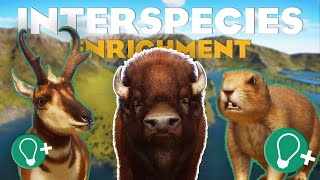 The ULTIMATE Guide to Interspecies Enrichment | Planet Zoo