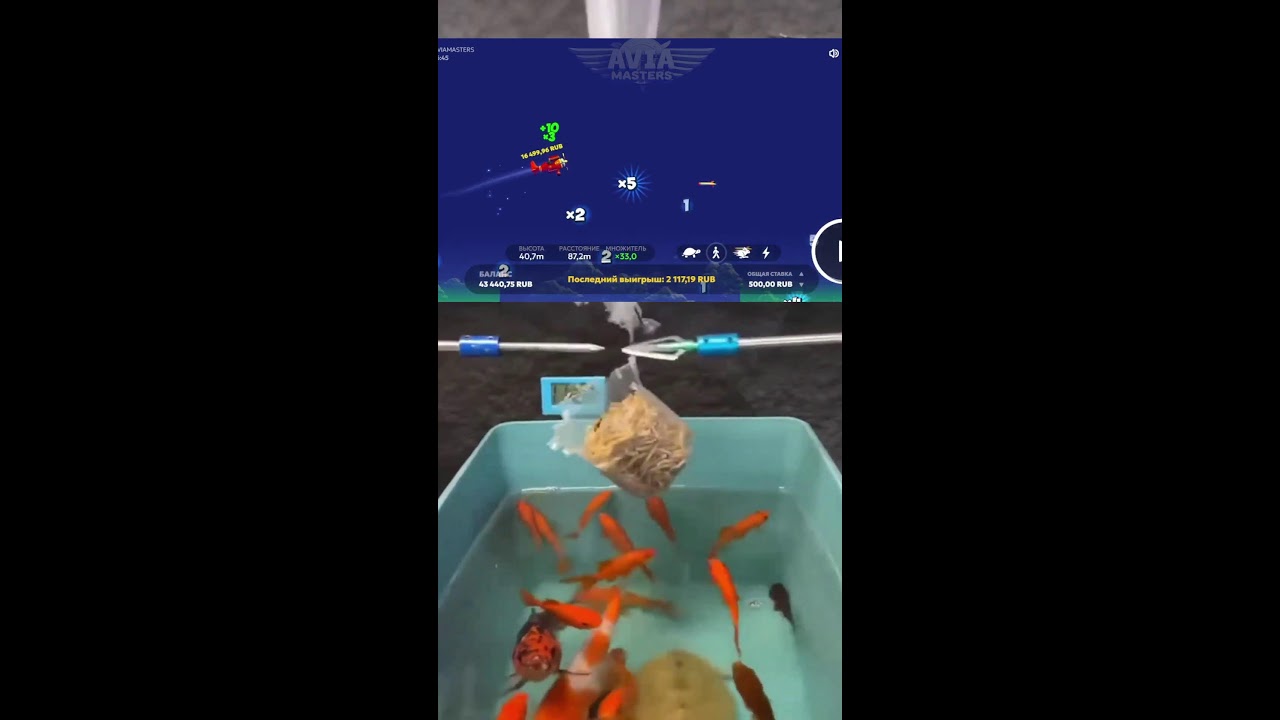 ИГРАЕМ НА СТРИМЕ ШОРТС