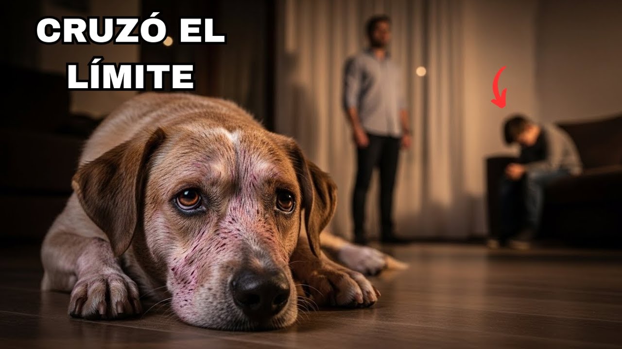 “Humilló al Perro de su Hijo… y Ese Día Destruyó su Familia para Siempre”