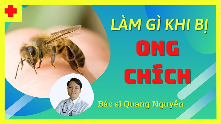 Xử lý khi bị ong đốt như thế nào năm 2024