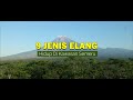 9 JENIS ELANG YANG HIDUP DI KAWASAN GUNUNG SEMERU JAWA TIMUR
