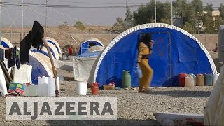 Humanitarian concerns escalate amid Mosul offensive