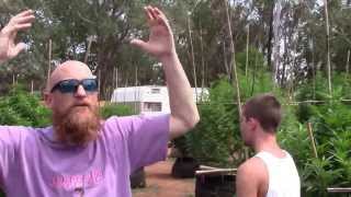 Bigley Ranches Medical Cannabis Garden tour 2013 with Bret Bogue  part 2