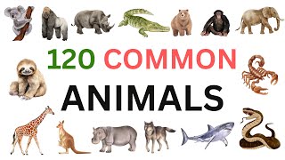120 Common Animals | English Vocabulary with Pictures | English for Beginners |