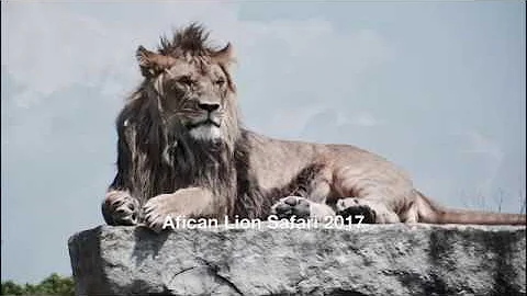 Afican Lion Safari (Ontario, Canada) 2017