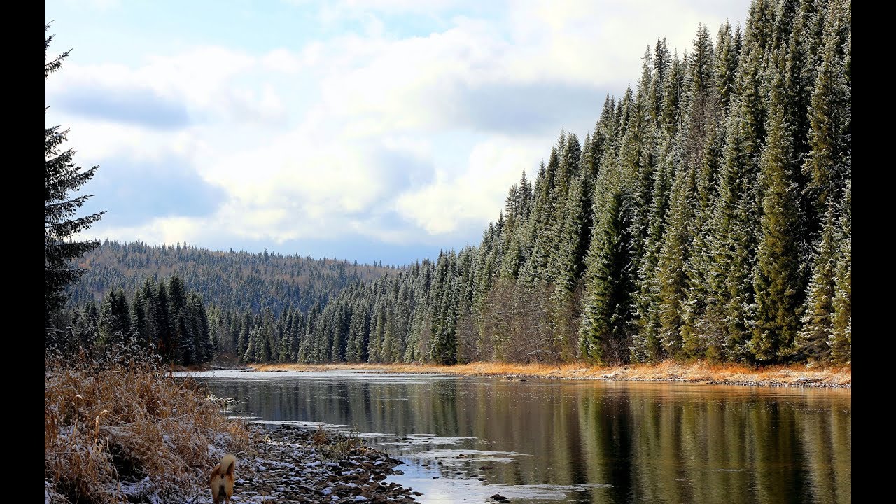 Видеоурок по теме "Химический комплекс. География химической ...