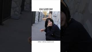 다시 등장한 울보챙 [프로미스나인 채영/지헌]