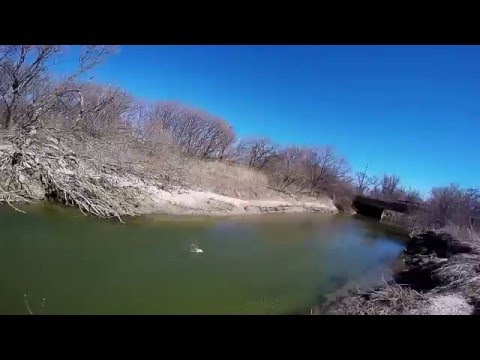 Musky Fishing with Suckers Gone FLAWLESSLY