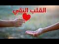 الصبح من العلية 1559 القلب النقي