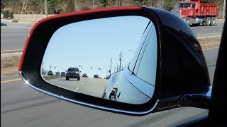 Day 180 Tesla Ruby Cruisin on a Monday Afternoon Net Worth