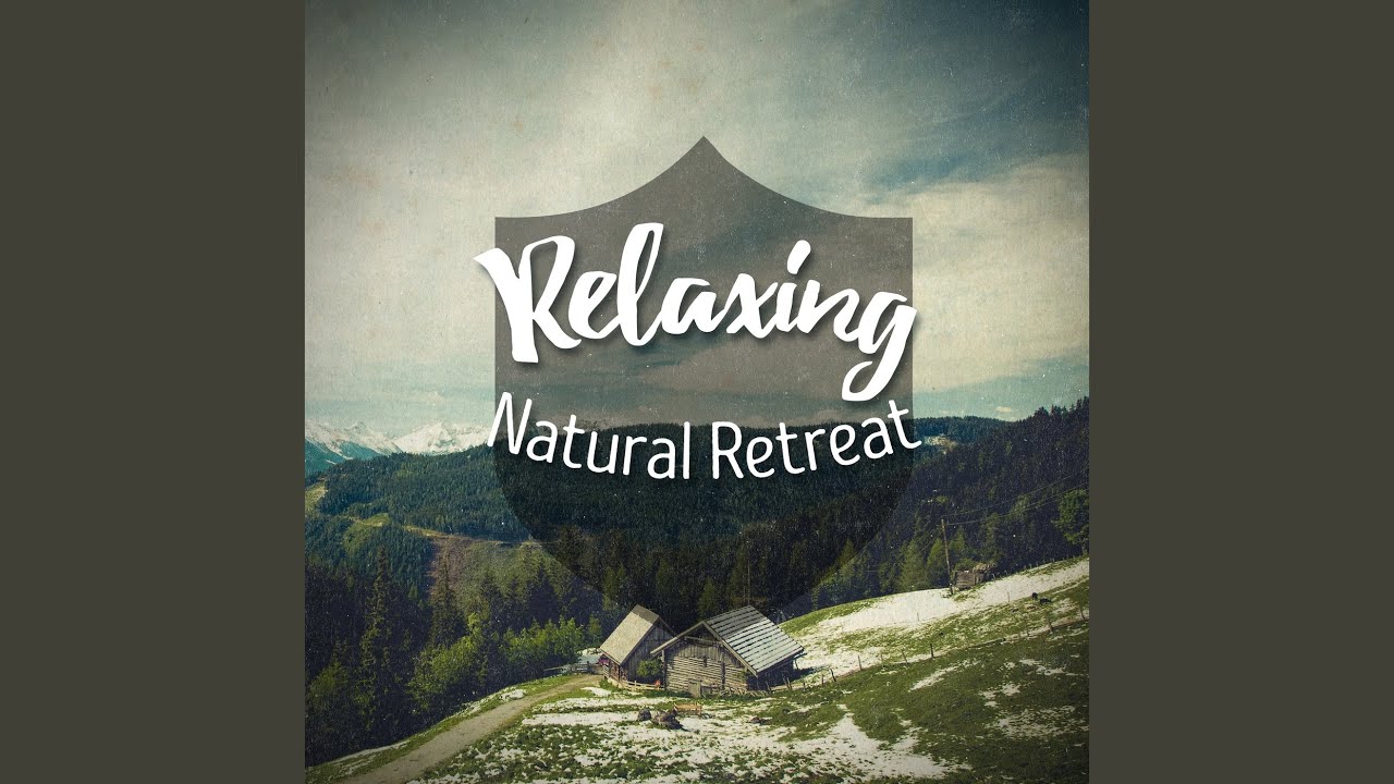 Birds Above the Pond