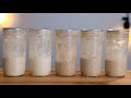 What's the best type of flour to feed a sourdough starter?