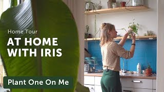 Houseplant Home Tour with Mama Botanica — Ep 177