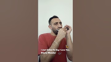 Thumbnail of I Just Called To Say I Love You..  Stevie Wonder / Harmonica (cover)