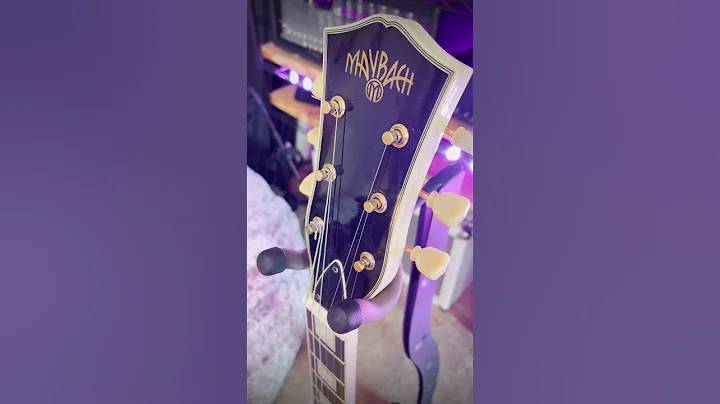 YOU NEED TO TRY THIS GUITAR FROM THE CZECH REPUBLI...