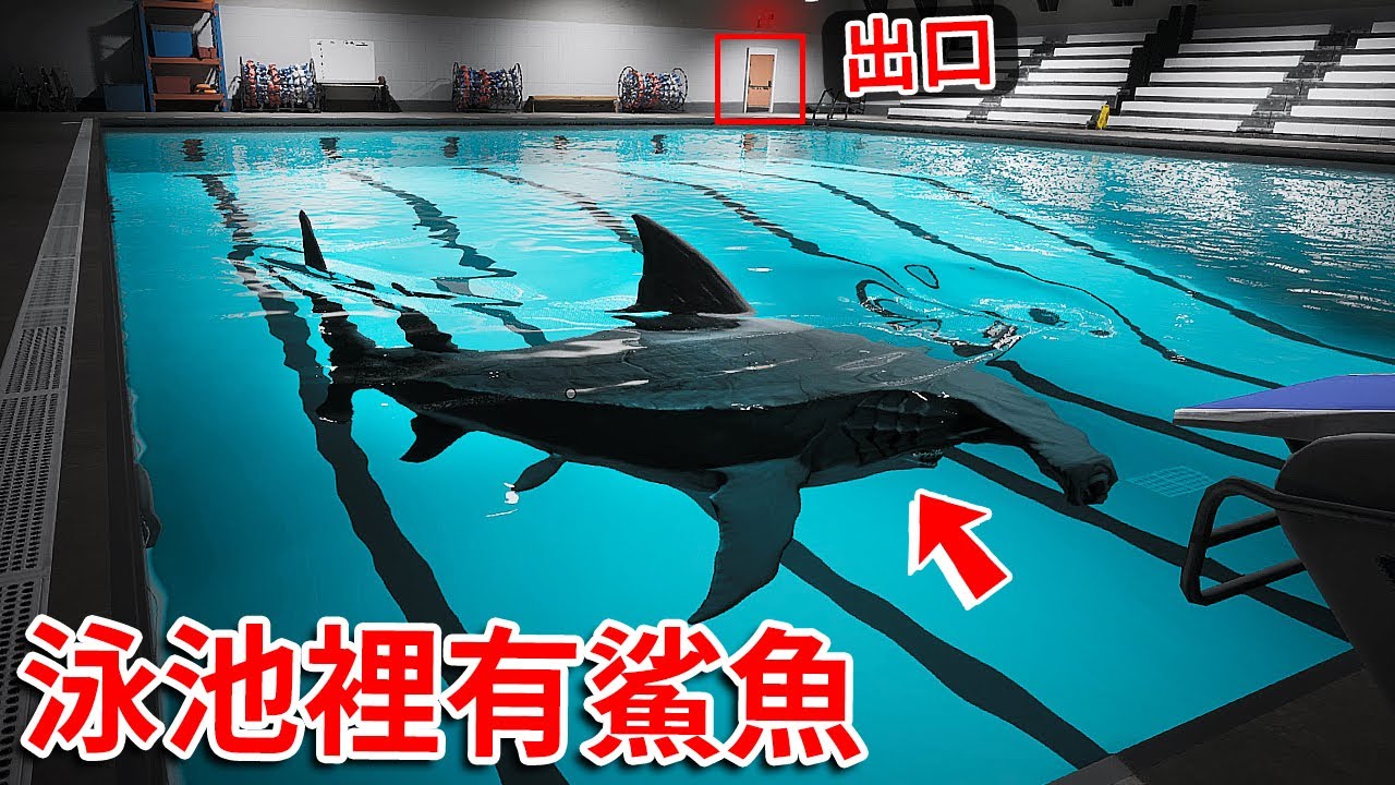 有隻鯊魚在游泳池裡??? 玩到我海洋恐懼症快發作的一款遊戲… [Sharks and Minnows](全字幕)