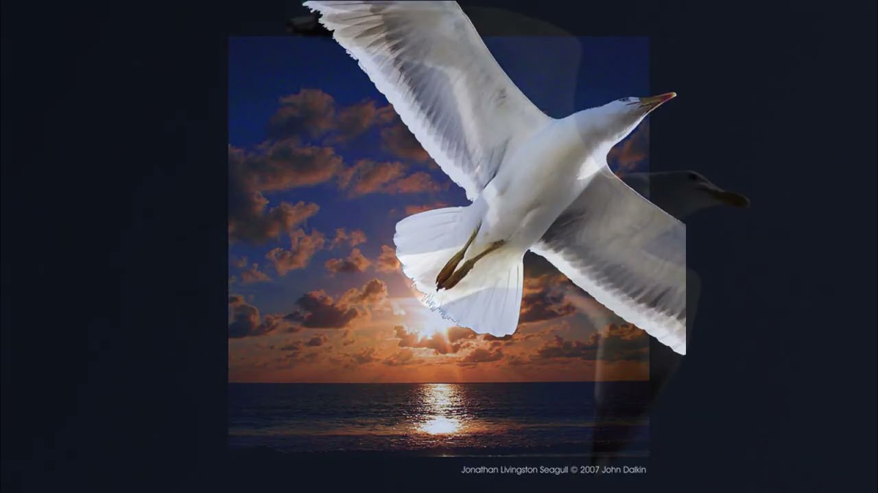 Neil Diamond / Be / Dear Father / Lonely Looking Sky / Sanctus / Skybird / Be (Encore)