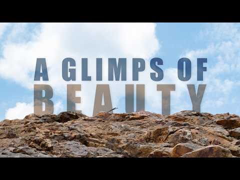 A Glimpse of Beauty | Nature & Landscape Cinematic Video