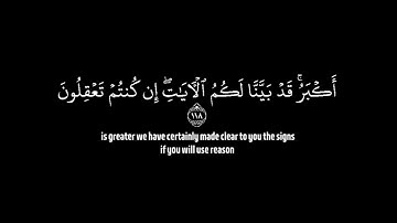 سورة آل عمران/ الآيات {118-120}/ القارئ: رعد الكردي/ آيات القرآن الكريم/ كروما