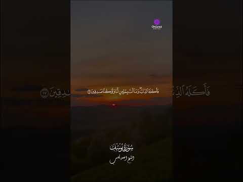 اسمعها مرة ولن تنساها أبد ا جمال التلاوة وروعة الإحساس مع الشيخ أحمد كاسب