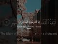 Surah Al-Qadr by Mishary Rashid Alafasy with Arabic subtitles and English Translations.#shorts