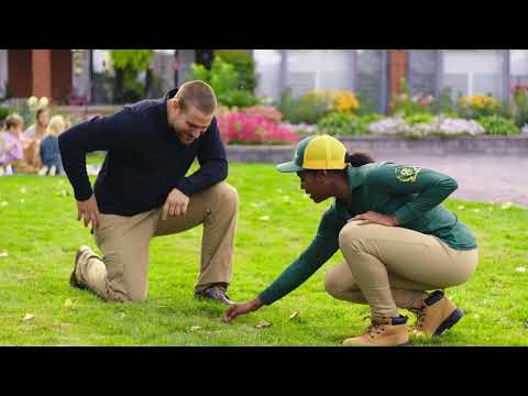 Weed Man Lawn Care: We Care For Your Lawn