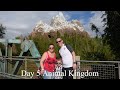 Day 5 Animal Kingdom Oct/Nov 2019