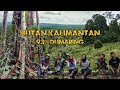 HUTAN KALIMANTAN 93% DUMARING