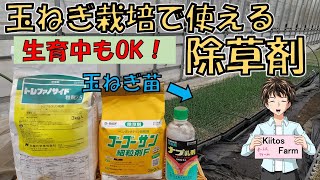 【除草剤の紹介】玉ねぎの生育期に使える除草剤。計画的に施用して、雑草対策を。