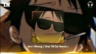Am I Wrong ( Viral TikTok Remix ) - Dj Vinzkie Remix | Tiny EDM