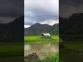 #viralvideo #trendingshorts #food #game #tvk #tvkparty #thalapathy #cricket #gameplay #viral #video