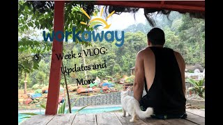 WorkAway in Indonesia! Week 2 VLOG: Catfish, Garden ASMR attempt, Nasi Goreng, and Waterfall Parks!