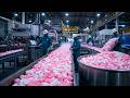 Inside a Marshmallow Factory 🍡 | Massive Production Using High-Tech Machines