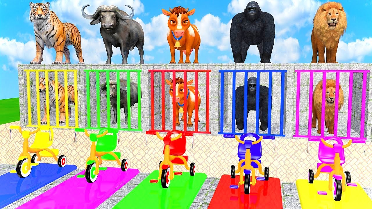 Long Slide Game With Elephant Gorilla Buffalo Hippopotamus Tiger - 3d Animal Game - Buddy Animals