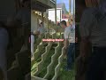 installing stairs