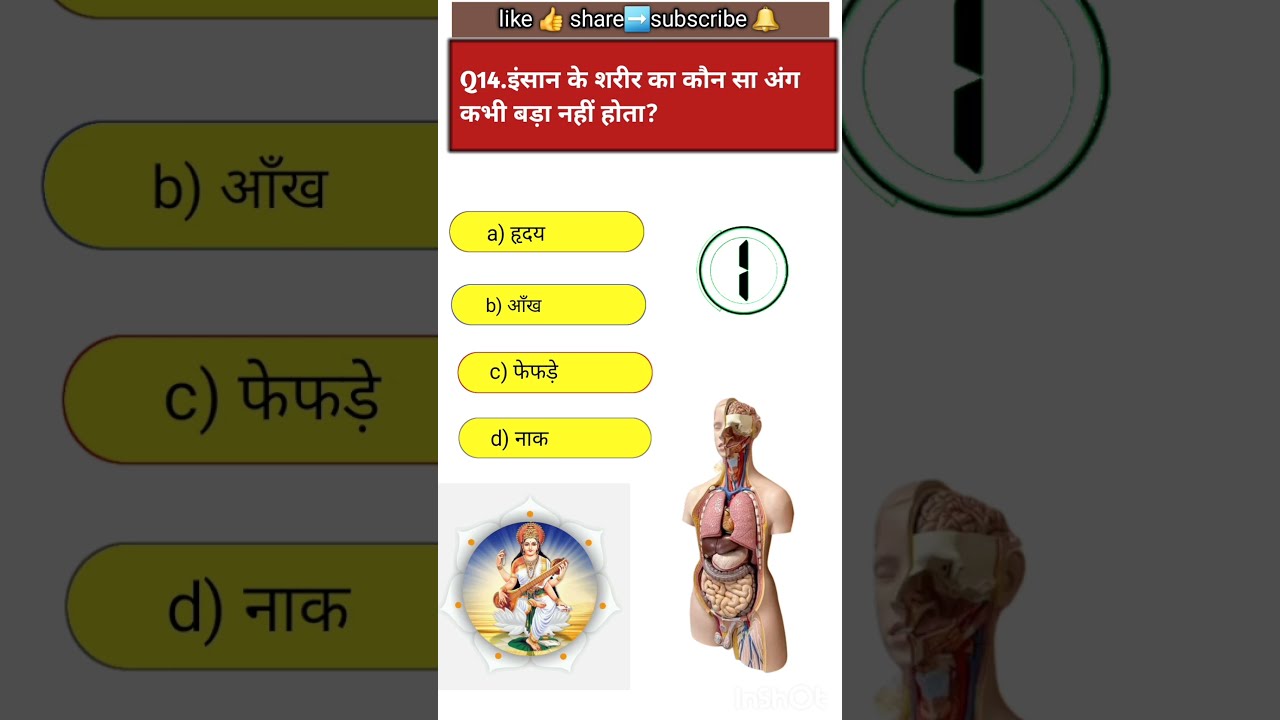 Apko Kya Lgta He Konsa Ang Ho Skta Jo Bdta Hi Na Shorts Ytshorts Gk Quiz Biology Hair Neet