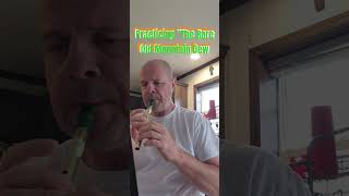 practicing "The Rare Old Mountain Dew" on tin whistle #tinwhistle #celticfolk