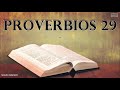 Proverbios 29