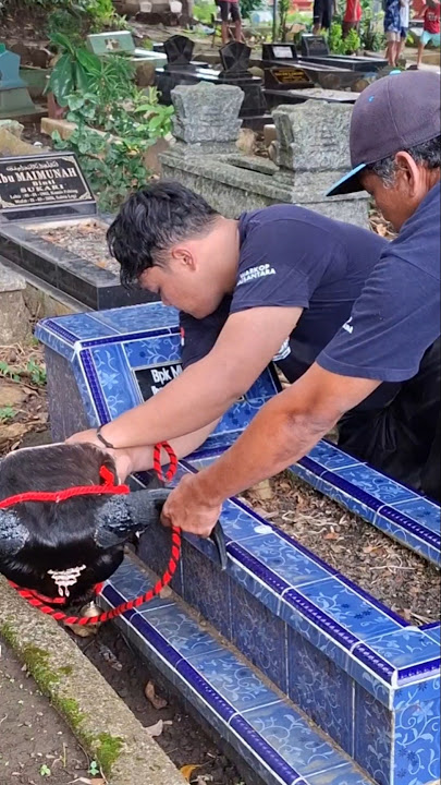 PUTRO MBAREP MBEROT KALAP CARI MAKAM MBAH EYANG #bantengan #jaranan