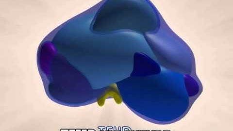 Transcription Advanced